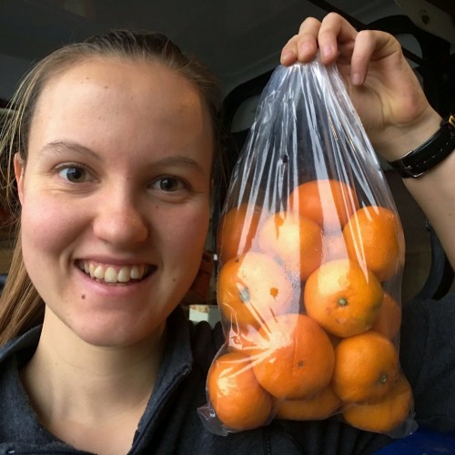 NEW SEASONS SATSUMA MANDARINS 1KG Bag KATIKATI Grown